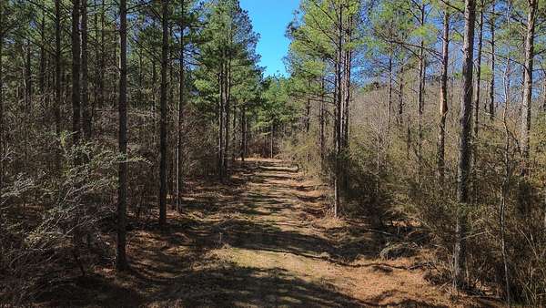 65 Acres of Recreational & Residential Land for Sale in Columbus, Mississippi