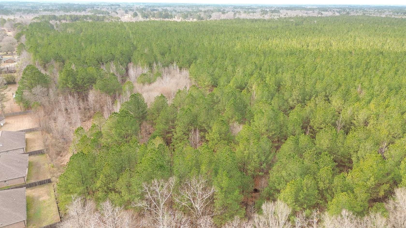 41 Acres of Recreational & Residential Land for Sale in Columbus, Mississippi