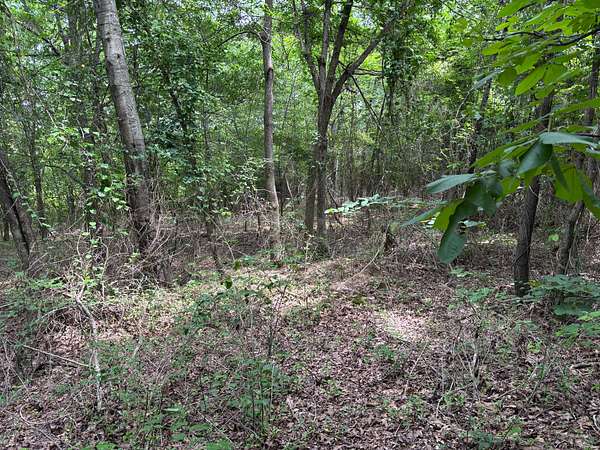 70 Acres of Recreational Land for Sale in Star City, Arkansas