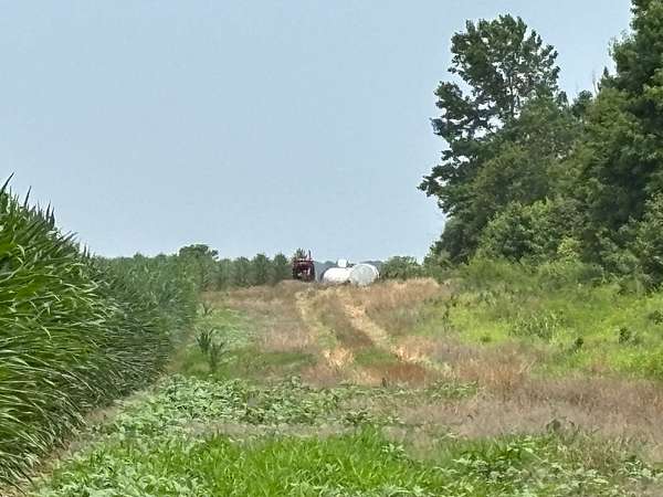277 Acres of Recreational Land & Farm for Sale in Star City, Arkansas