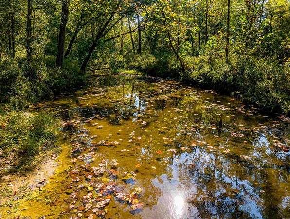 123 Acres of Recreational Land for Sale in Cave City, Arkansas