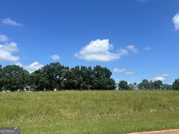 0.76 Acres of Residential Land for Sale in Hawkinsville, Georgia