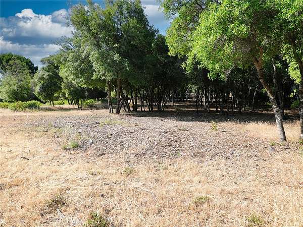 0.23 Acres of Residential Land for Sale in Kelseyville, California