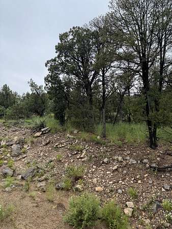 0.49 Acres of Land for Sale in Edgewood, New Mexico