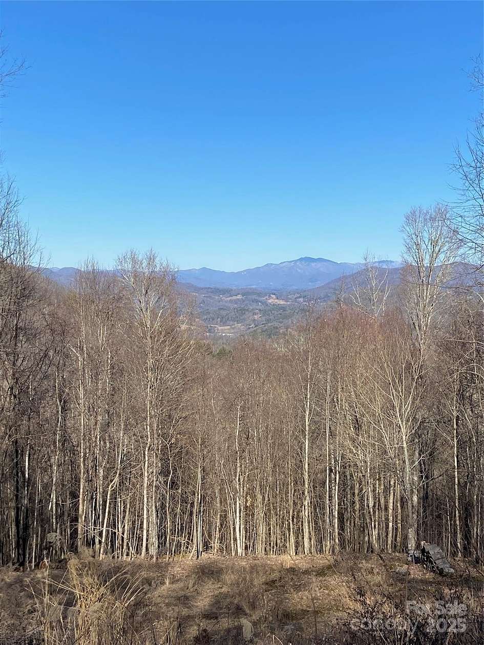 1 Acre of Residential Land for Sale in Mars Hill, North Carolina