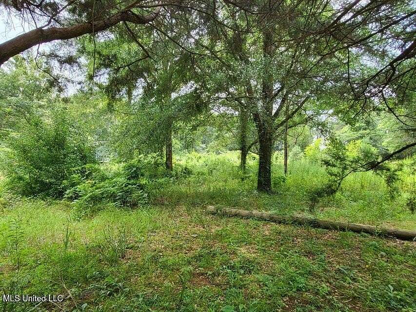 0.9 Acres of Land for Sale in Petal, Mississippi