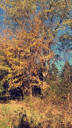 10 Acres of Residential Land for Sale in West Bend, Wisconsin