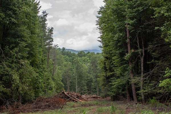 2.62 Acres of Residential Land with Home for Sale in Blue Ridge, Georgia