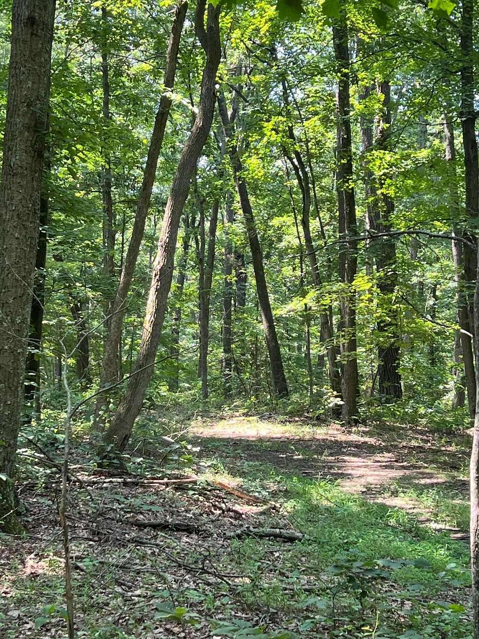 41.5 Acres of Recreational Land for Sale in Laurelville, Ohio