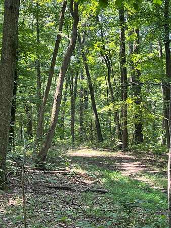41.5 Acres of Recreational Land for Sale in Laurelville, Ohio