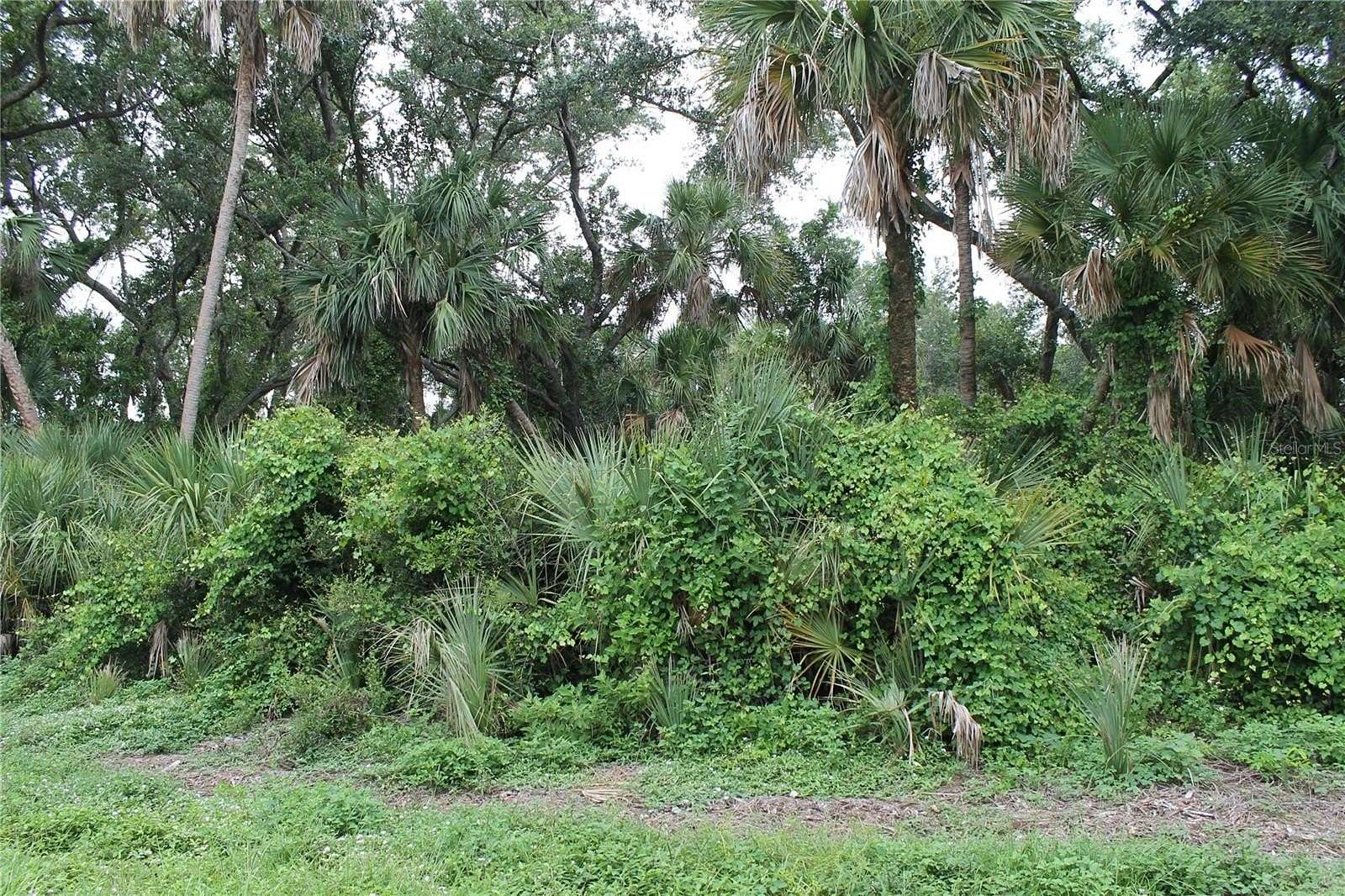0.23 Acres of Residential Land for Sale in Port Charlotte, Florida