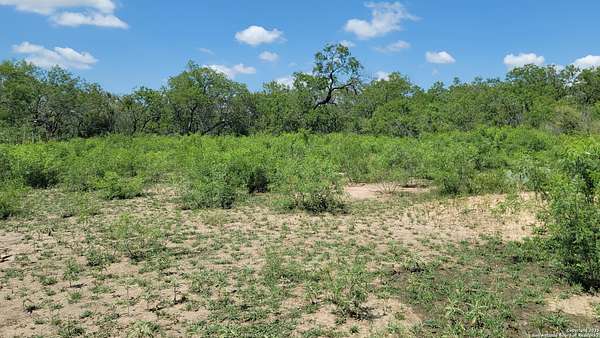 20 Acres of Recreational Land & Farm for Sale in La Vernia, Texas