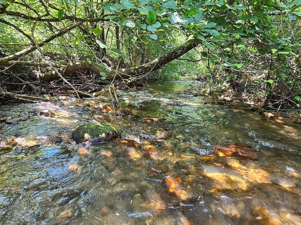 38 Acres of Recreational Land for Sale in Fancy Gap, Virginia