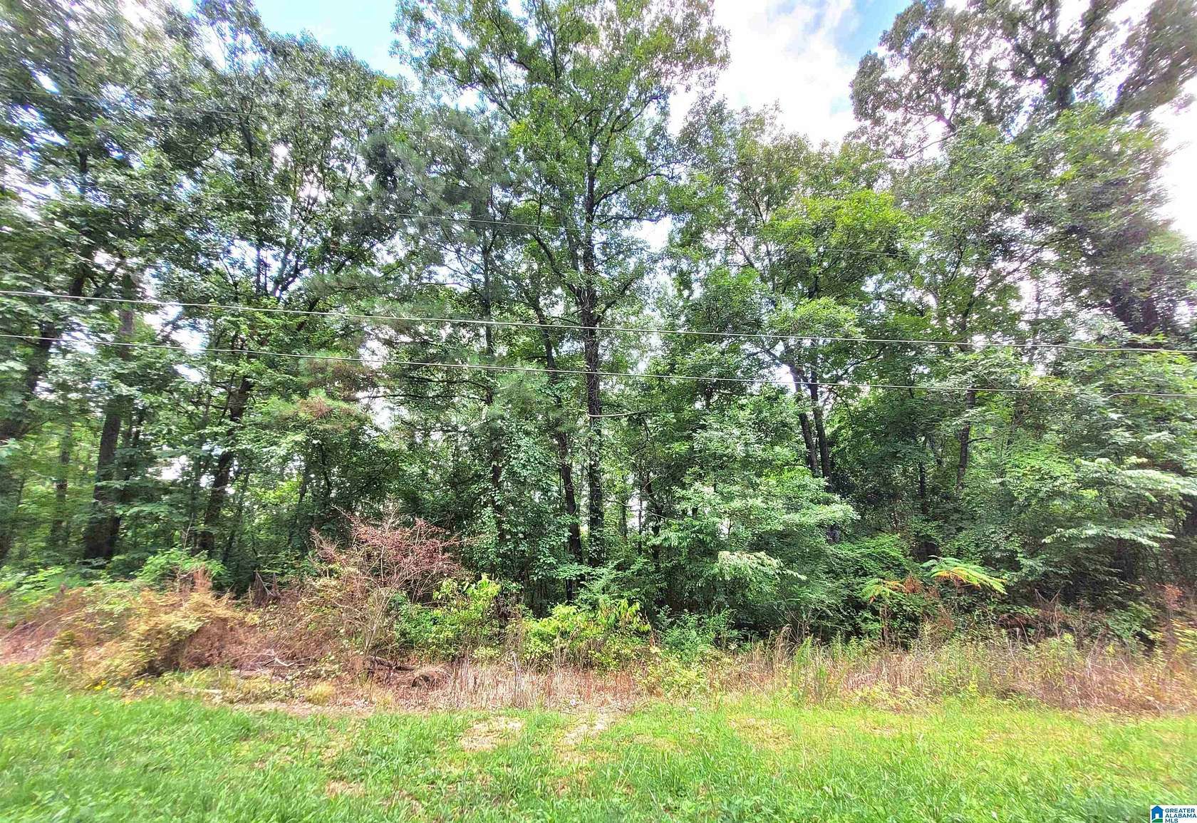 0.54 Acres of Residential Land for Sale in Talladega, Alabama