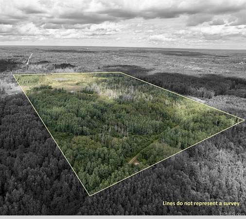 80 Acres of Recreational Land for Sale in Rock, Michigan