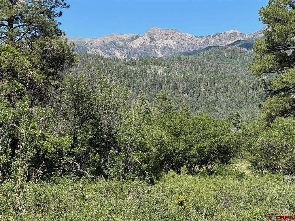 35 Acres of Land for Sale in Pagosa Springs, Colorado