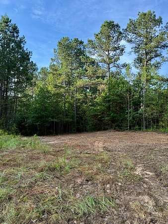Residential Land for Sale in Noxapater, Mississippi