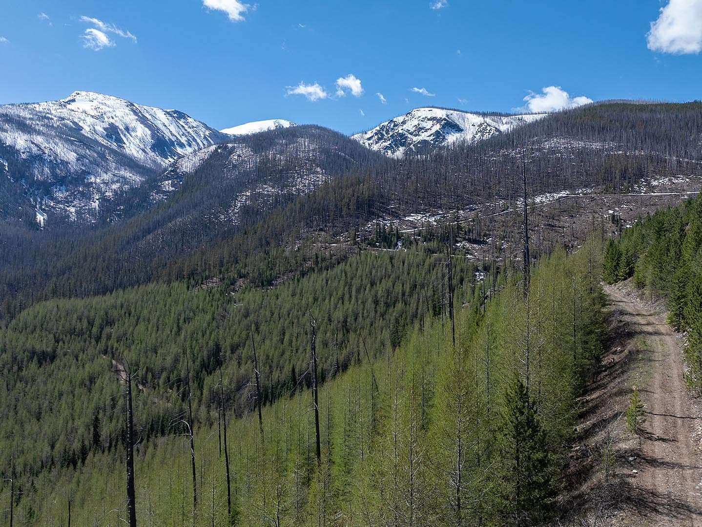 1,882 Acres of Recreational Land & Farm for Sale in Lolo, Montana