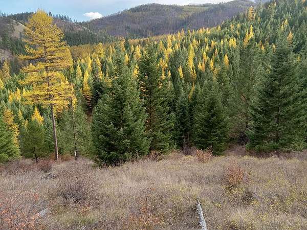 1,882 Acres of Recreational Land for Sale in Lolo, Montana