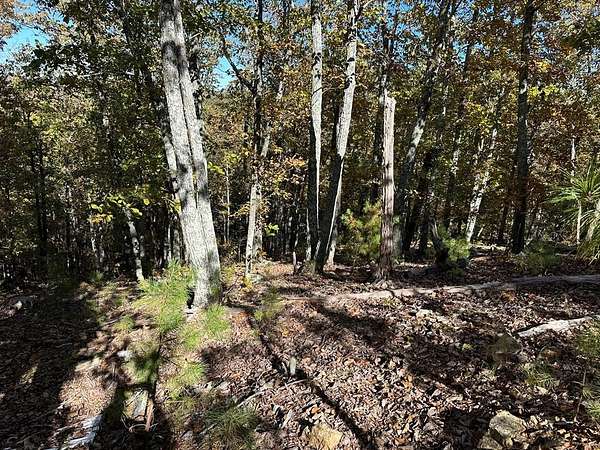 5 Acres of Land for Sale in Cedartown, Georgia