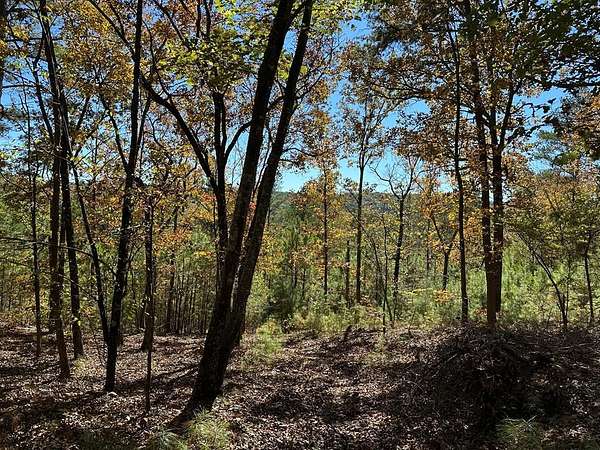 5.6 Acres of Land for Sale in Cedartown, Georgia