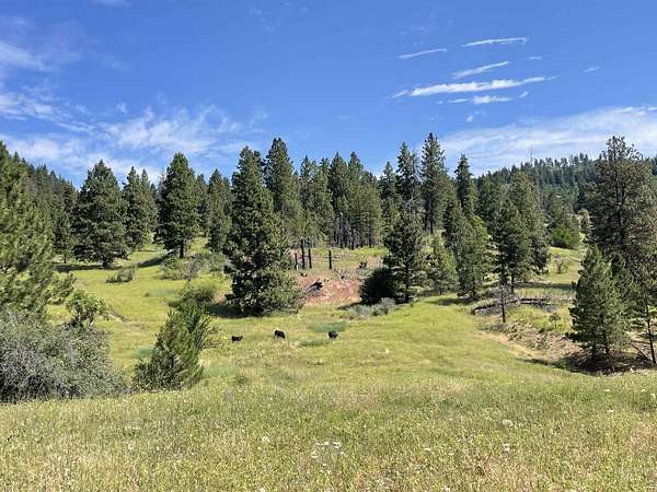 19.7 Acres of Land for Sale in Horseshoe Bend, Idaho