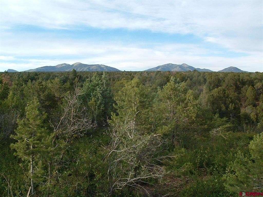 36 Acres of Land for Sale in Hesperus, Colorado