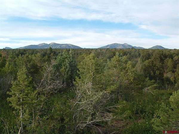36 Acres of Land for Sale in Hesperus, Colorado
