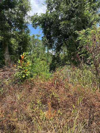 0.24 Acres of Land for Sale in Greenville, Florida