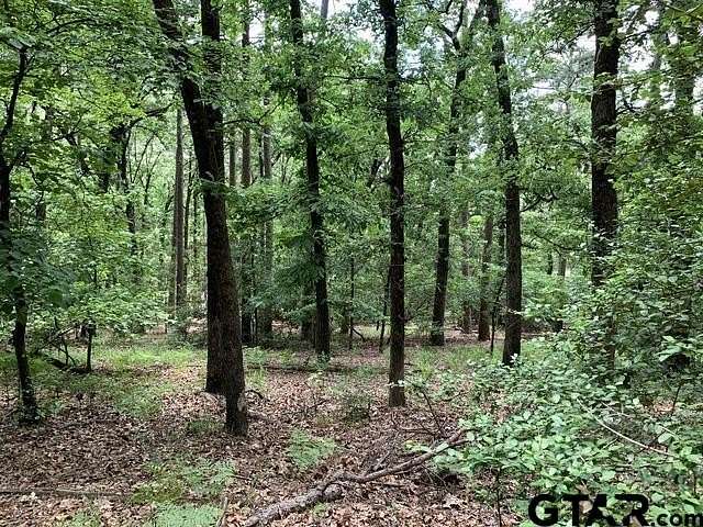 1.5 Acres of Residential Land for Sale in Holly Lake Ranch, Texas