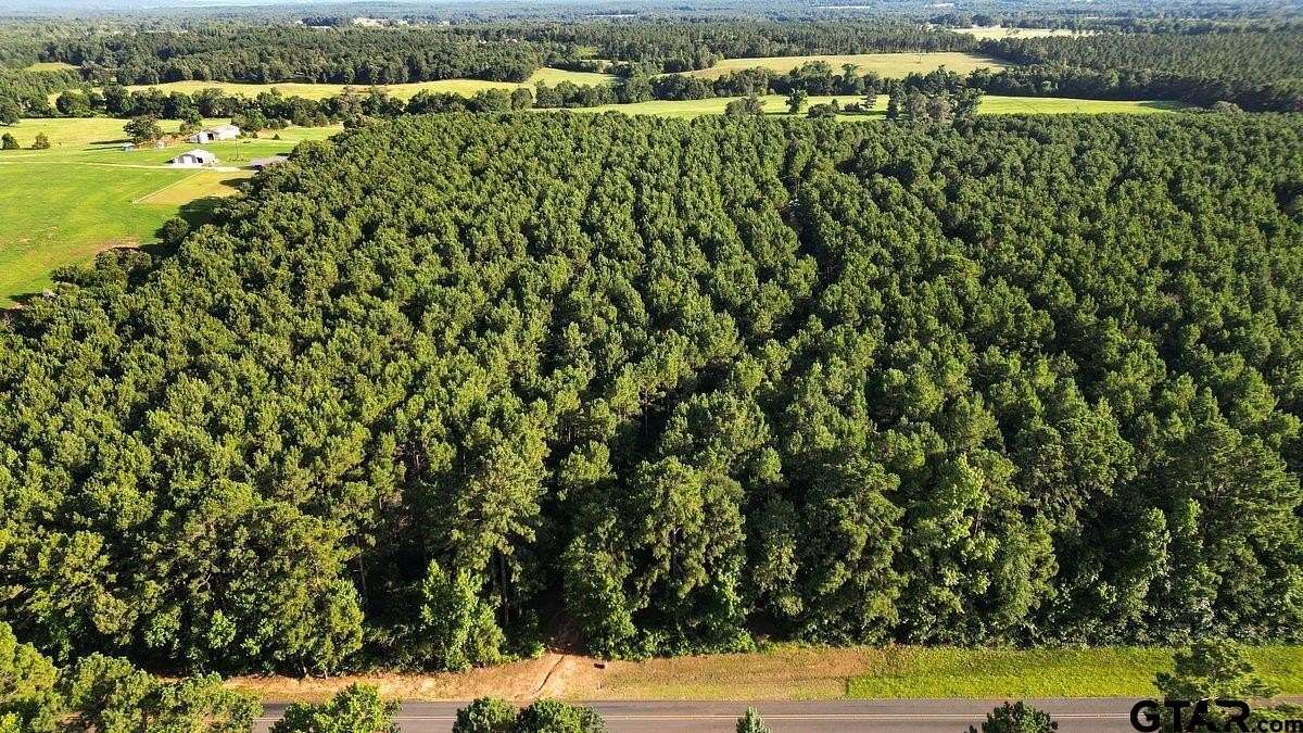 17 Acres of Land for Sale in Troup, Texas