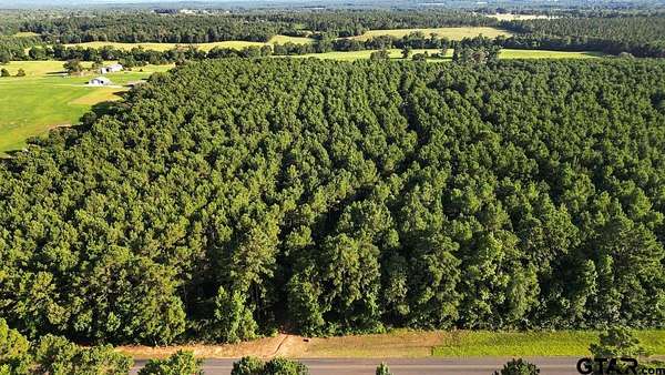 17 Acres of Land for Sale in Troup, Texas