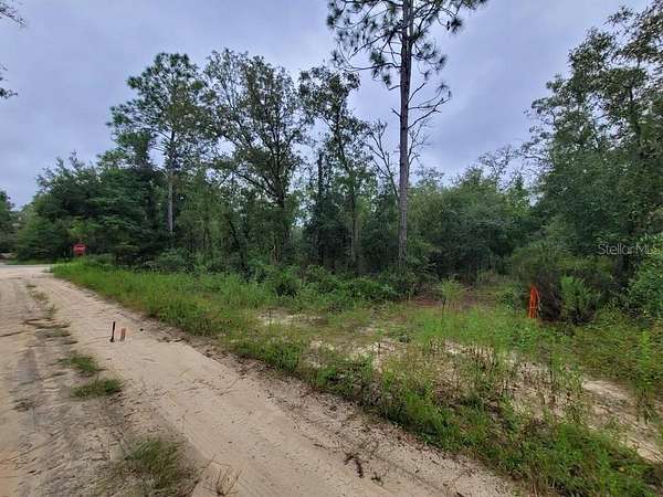 1.25 Acres of Residential Land for Sale in Bronson, Florida