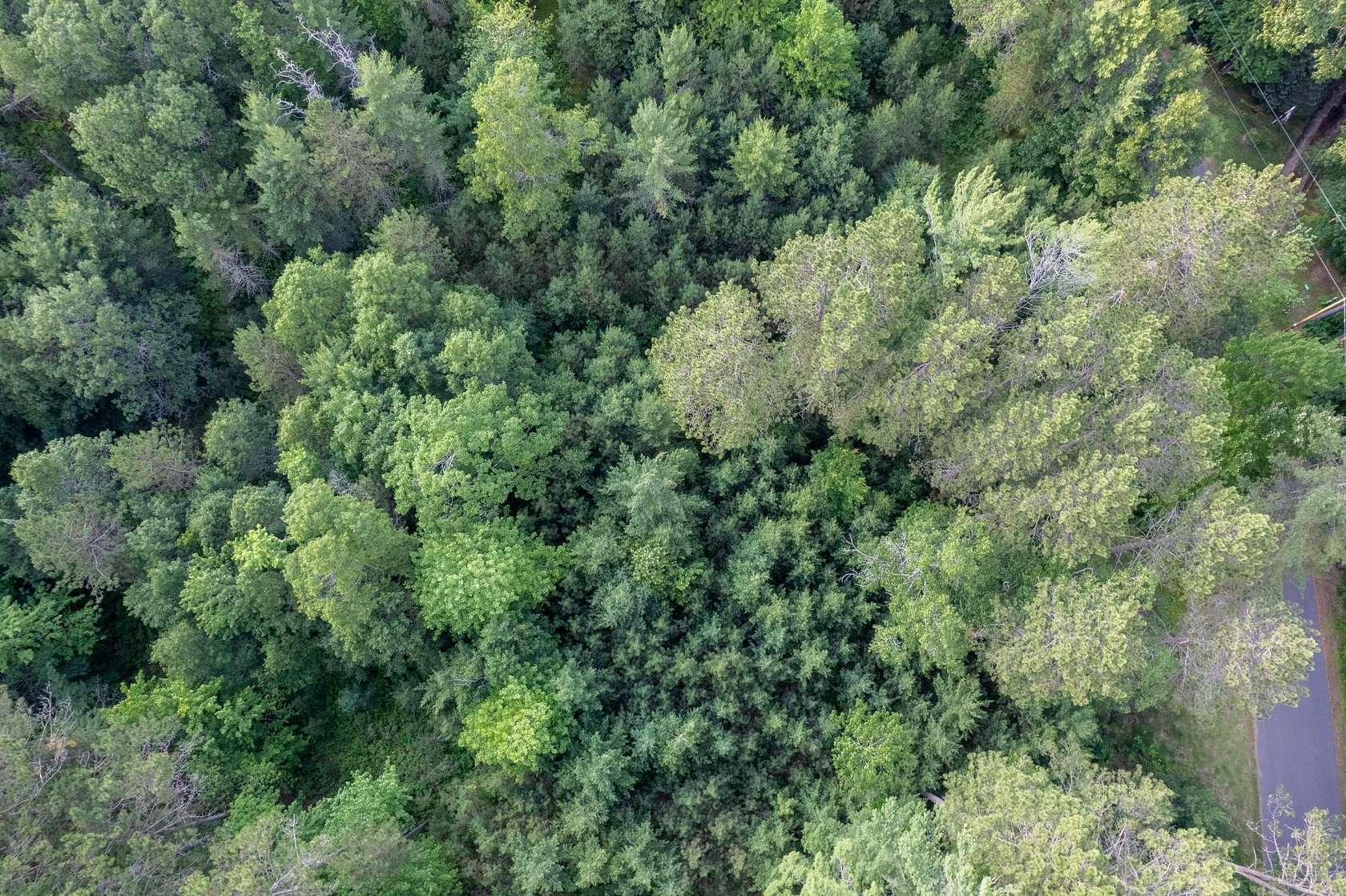 1.79 Acres of Land for Sale in Eagle River, Wisconsin