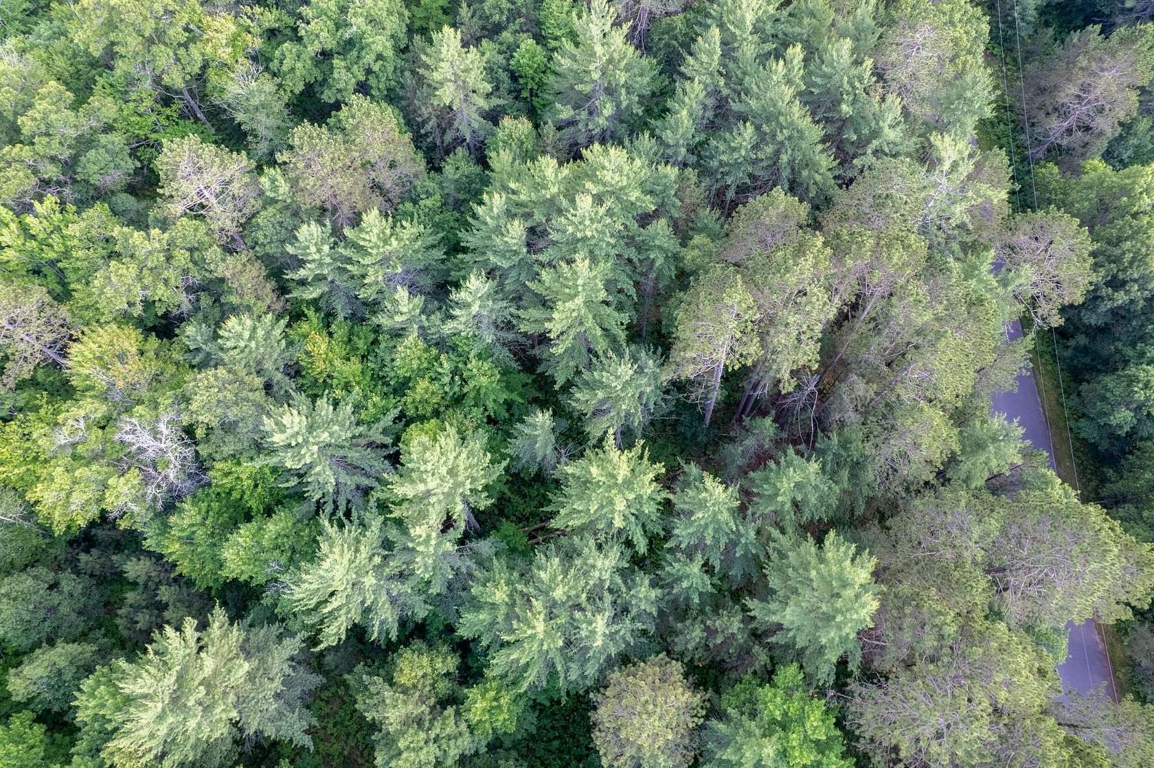 1.6 Acres of Land for Sale in Eagle River, Wisconsin