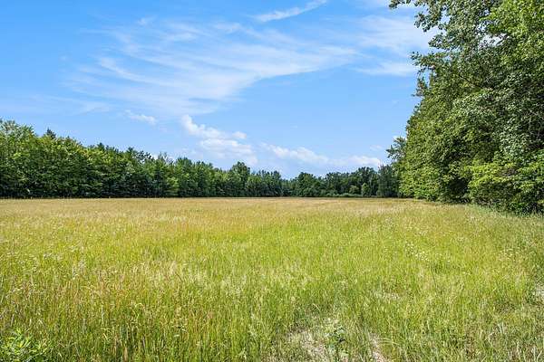 15 Acres of Land for Sale in Bangor, Michigan