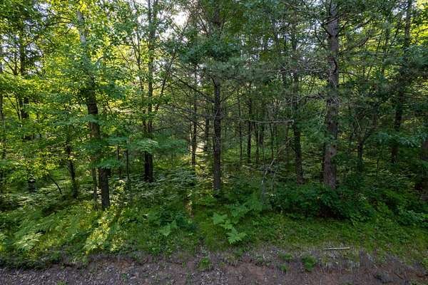 2.88 Acres of Land for Sale in Eagle River, Wisconsin