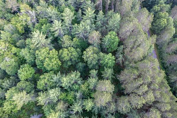 2.52 Acres of Land for Sale in Eagle River, Wisconsin