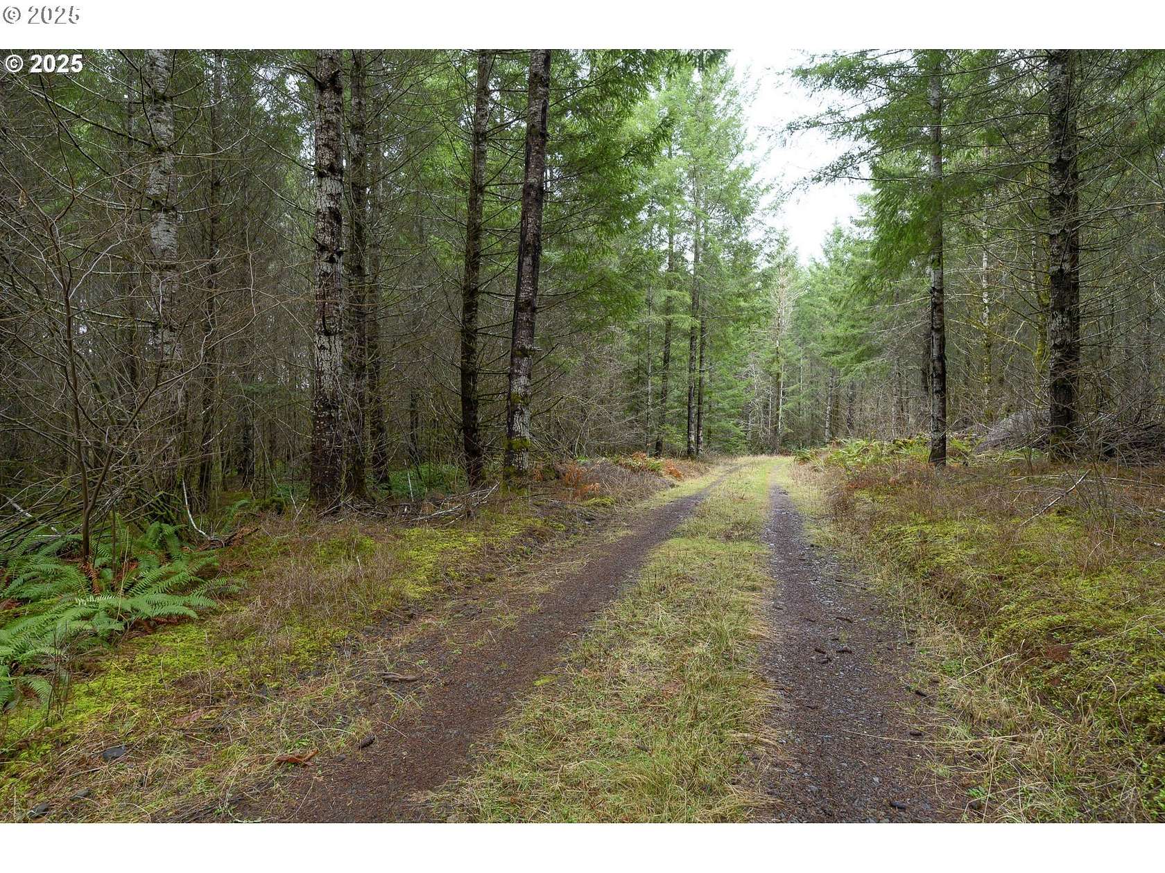 100 Acres of Recreational Land with Home for Sale in Carlton, Oregon