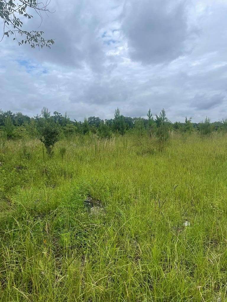 14.3 Acres of Commercial Land for Sale in Bainbridge, Georgia