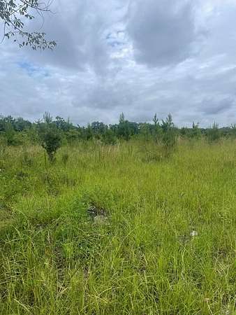 14.3 Acres of Commercial Land for Sale in Bainbridge, Georgia