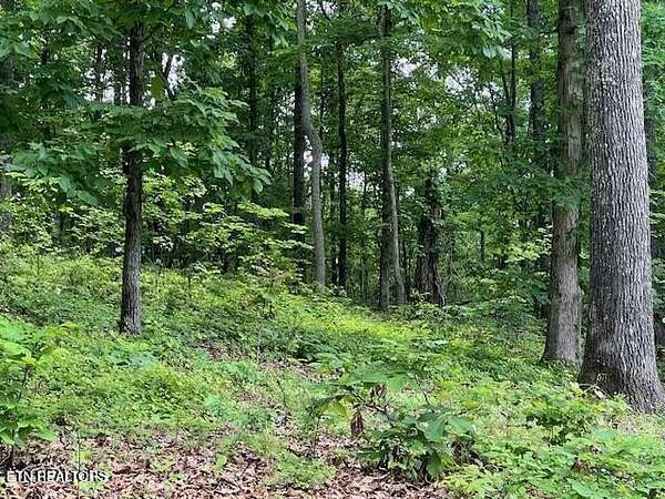 3.46 Acres of Residential Land for Sale in Rockwood, Tennessee