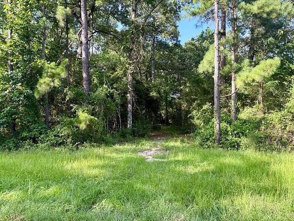 1 Acre of Residential Land for Sale in Huntington, Texas