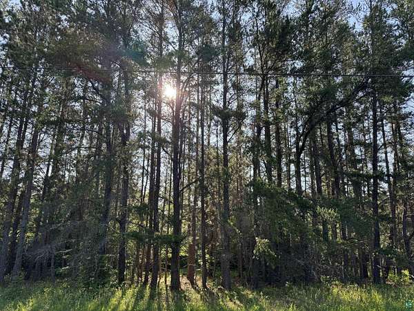 20 Acres of Land for Sale in Two Harbors, Minnesota