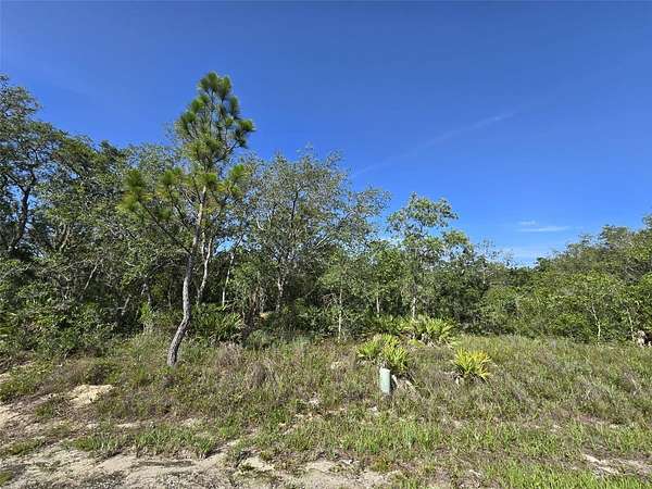 0.4 Acres of Residential Land for Sale in Kissimmee, Florida