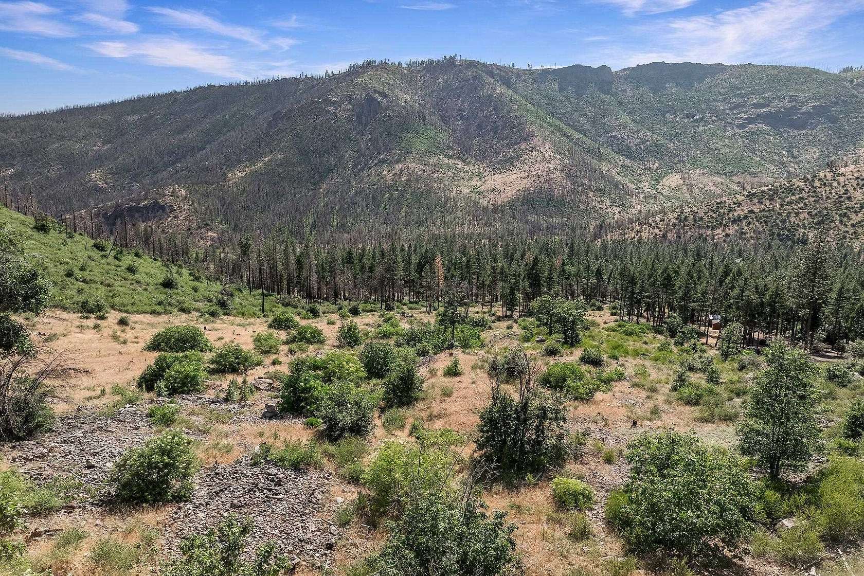 11.6 Acres of Recreational & Residential Land for Sale in Taylorsville, California