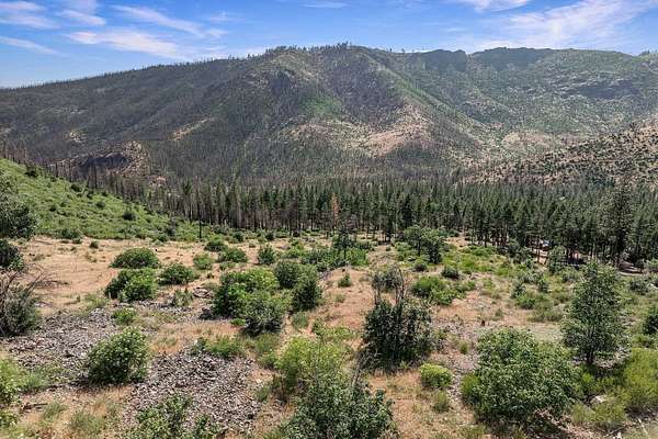 11.6 Acres of Recreational Land for Sale in Taylorsville, California