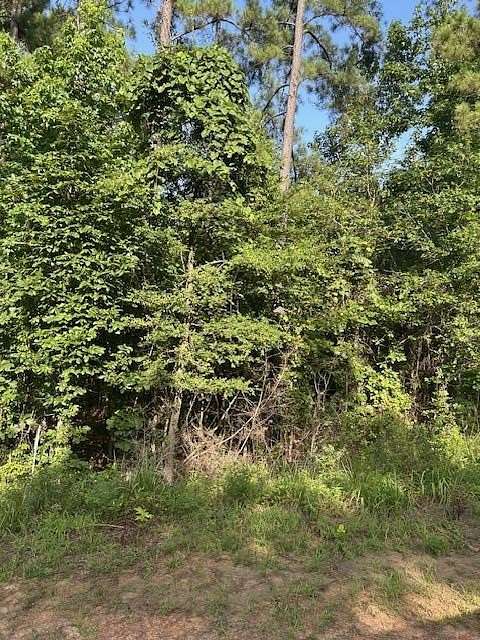 10.7 Acres of Land for Sale in Center, Texas