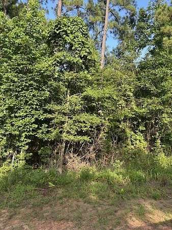 10.7 Acres of Land for Sale in Center, Texas