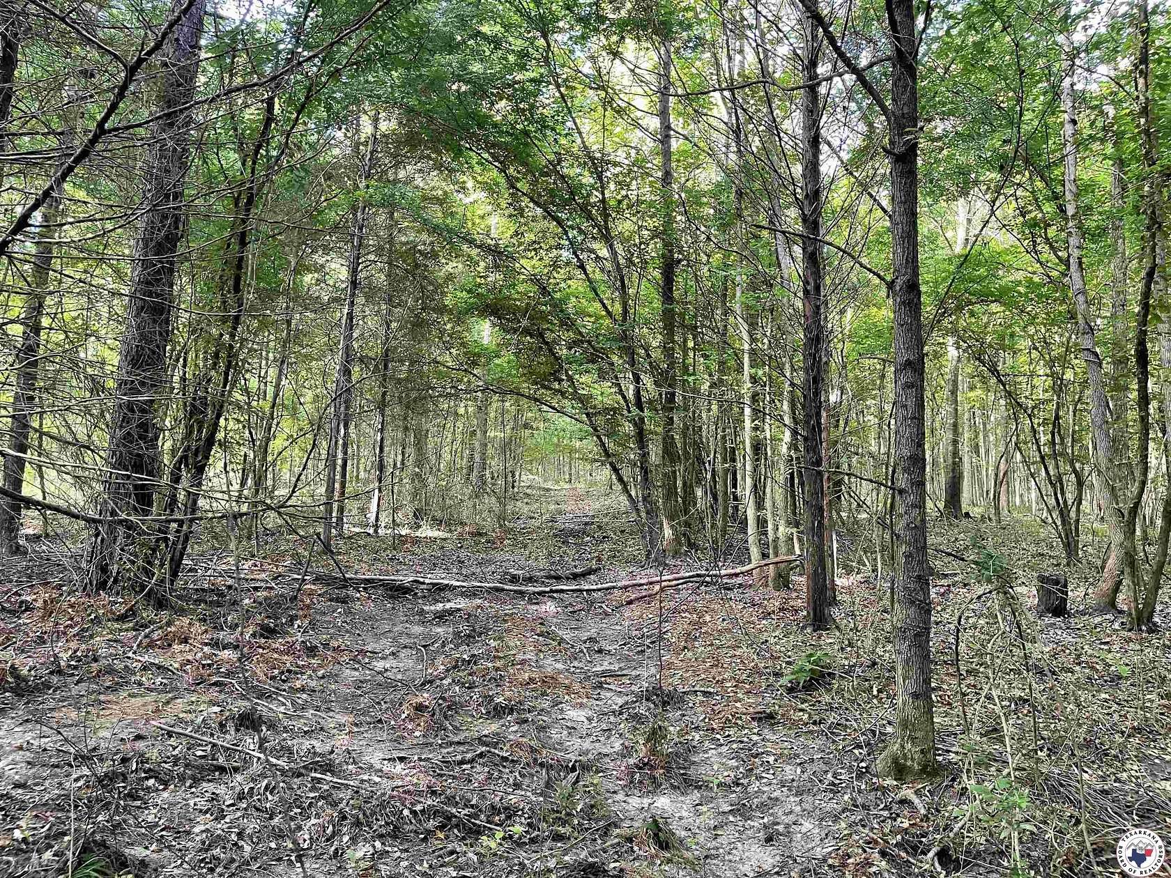 38.6 Acres of Recreational Land for Sale in Jefferson, Texas